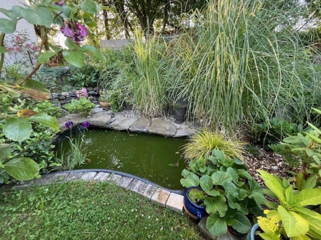 شقة La Bastide Rosieres  المظهر الخارجي الصورة
